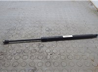 1L2Z16C826AA Амортизатор капота Ford Explorer 2001-2006 20586966 #4