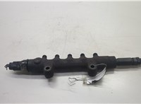  Рампа (рейка) топливная Citroen Jumper (Relay) 2006-2014 20587207 #1