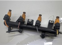  Форсунка топливная Peugeot 207 2006-2015 20587893 #1