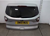 2183999, CV44S42004DG Стекло заднее Ford Kuga 2016-2019 11494877 #1