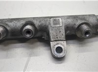 03L130089 Рампа (рейка) топливная Volkswagen Passat CC 2008-2012 20588891 #3