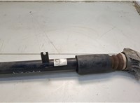 22334348 Амортизатор подвески BMW 3 G20, G21 2018-2025 20589414 #1