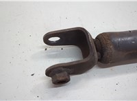 DB5318080DE, DB5Z18125H Амортизатор подвески Ford Explorer 2010-2015 20589923 #3