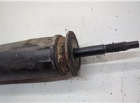 DB5318080DE, DB5Z18125H Амортизатор подвески Ford Explorer 2010-2015 20589924 #2
