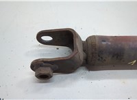 DB5318080DE, DB5Z18125H Амортизатор подвески Ford Explorer 2010-2015 20589924 #3
