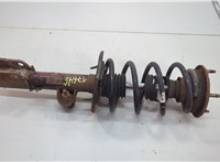 DB5Z18124X Амортизатор подвески Ford Explorer 2010-2015 20589935 #1