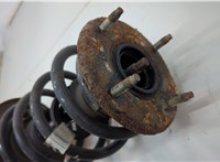 DB5Z18124X Амортизатор подвески Ford Explorer 2010-2015 20589935 #2