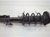 LX6Z18124EW, LX6Z5310D Амортизатор подвески Ford Escape 2019-2022 20589977 #1