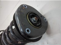 LX6Z18124EW, LX6Z5310D Амортизатор подвески Ford Escape 2019-2022 20589977 #2