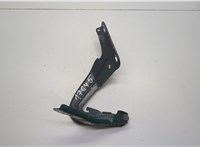 BB5316800 Петля капота Ford Explorer 2010-2015 20589217 #1