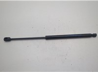 lj8br16c826ab Амортизатор капота Ford Mustang Mach-E 20590415 #1