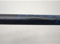 lj8br16c826ab Амортизатор капота Ford Mustang Mach-E 20590415 #2