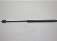 lj8br16c827ab Амортизатор капота Ford Mustang Mach-E 20590416 #1