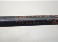 lj8br16c827ab Амортизатор капота Ford Mustang Mach-E 20590416 #2