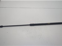 5NA823359A Амортизатор капота Volkswagen Tiguan 2016-2020 20590417 #1