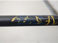 5NA823359A Амортизатор капота Volkswagen Tiguan 2016-2020 20590417 #2