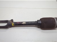 A1643206113 Амортизатор подвески Mercedes GL X164 2006-2012 20590450 #1