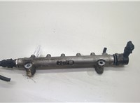  Рампа (рейка) топливная Hyundai Sonata 5 NF 2005-2010 20591624 #1