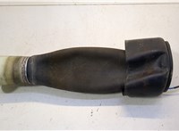 37106781843, 6781843 Пневмоподушка BMW 5 F07 Gran Turismo 2010-2017 20591732 #1