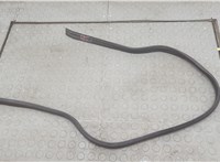  Уплотнитель Chevrolet Camaro 2009-2013 20591745 #1
