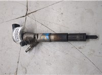 166006212R Форсунка топливная Renault Megane 4 2016-2020 20592135 #5