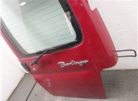 9101J5 Ручка двери наружная Citroen Berlingo 2002-2008 11496959 #11