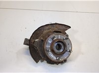 4802486, 20863127 Ступица (кулак, цапфа) Opel Antara 2006-2015 20590849 #1