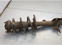 5168167AB Амортизатор подвески Jeep Compass 2011-2016 20593445 #1