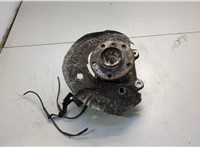 31216765157, 6765157, 31216793923, 6793923, 34116780215 Ступица (кулак, цапфа) BMW 1 E87 2004-2011 20593589 #1