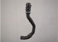  Патрубок интеркулера Ford Transit (Tourneo) Connect 2002-2013 20593624 #5