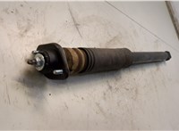 33526750784 Амортизатор подвески BMW 3 E46 1998-2006 20594106 #3
