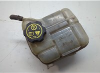 143182648 Бачок расширительный Opel Insignia 2008-2017 20594344 #1