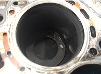 651955 Блок цилиндров (Шорт блок) Mercedes Sprinter 2006-2018 20594404 #2