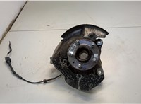 LR025107, LR055289 Ступица (кулак, цапфа) Land Rover Range Rover Evoque 2011-2018 20594754 #1