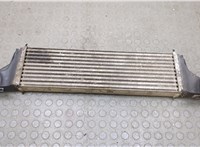 17517791231, 7791231 Радиатор интеркулера BMW X5 E53 2000-2006 20595469 #1
