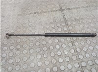 534500C011 Амортизатор капота Toyota Sequoia 2000-2008 20595562 #1