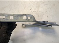 11A823301B Петля капота Volkswagen ID.4 20595807 #2