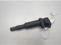 12135A06753, 12138616153 Катушка зажигания BMW X5 E70 2006-2013 20595954 #1