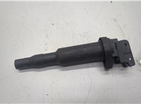 12135A06753, 12138616153 Катушка зажигания BMW X5 E70 2006-2013 20595956 #1