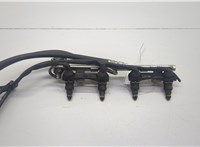  Форсунка топливная Audi A4 (B5) 1994-2000 20596078 #1