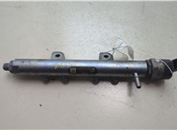 0281006017, 0445216028 Рампа (рейка) топливная Land Rover Range Rover Sport 2005-2013 20596229 #5