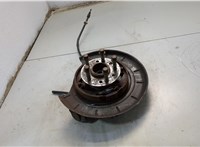 A1643560201, A1643501308 Ступица (кулак, цапфа) Mercedes GL X164 2006-2012 20596285 #1