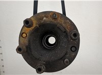 7189272 Ступица (кулак, цапфа) Iveco EuroCargo 3 2015-2025 20596965 #1