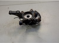 402022Y010, 400158H300, 411612Y000 Ступица (кулак, цапфа) Nissan X-Trail (T30) 2001-2007 20597951 #2