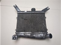1794027040 Радиатор интеркулера Toyota RAV 4 2000-2005 20598319 #6