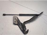 68294806AB Петля капота Dodge Ram 2019-2025 20598332 #2