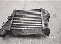4F0145805AF Радиатор интеркулера Audi A6 (C6) 2004-2011 20598363 #3