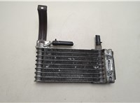 254603E300 Радиатор масляный KIA Sorento BL 2002-2011 20598615 #1