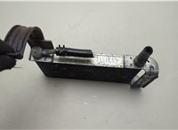254603E300 Радиатор масляный KIA Sorento BL 2002-2011 20598615 #2