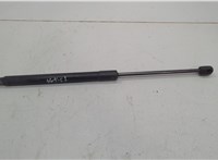  Амортизатор капота Volkswagen Passat 6 2005-2010 20598619 #1